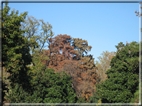 foto Giardini di Porta Venezia